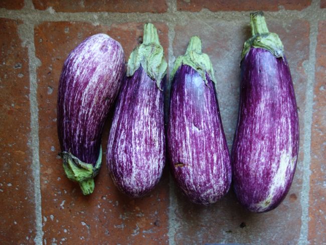 eggplant and sage pasta